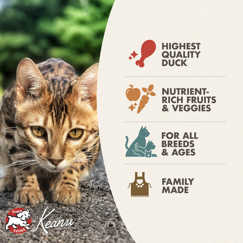 Fromm Four-Star Dry Cat Food - Duck Á La Veg - 4lb Bag